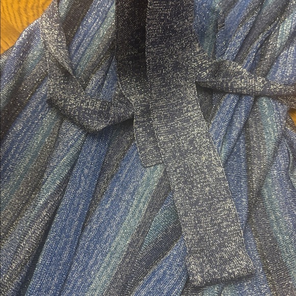 L’AGENCE from Revolve Blue and Gray Striped Metallic Duster - Picture 6 of 9